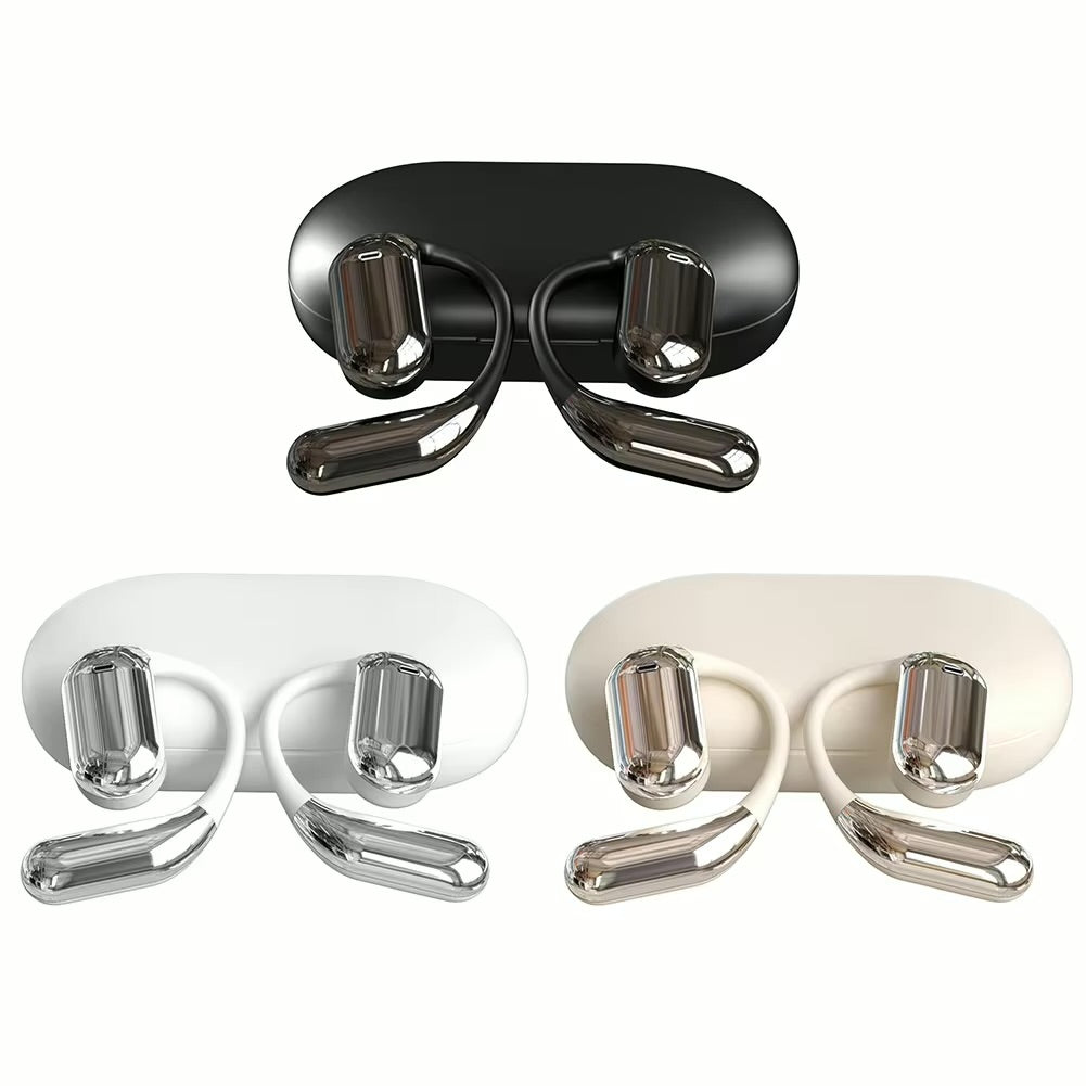 Translator earbuds