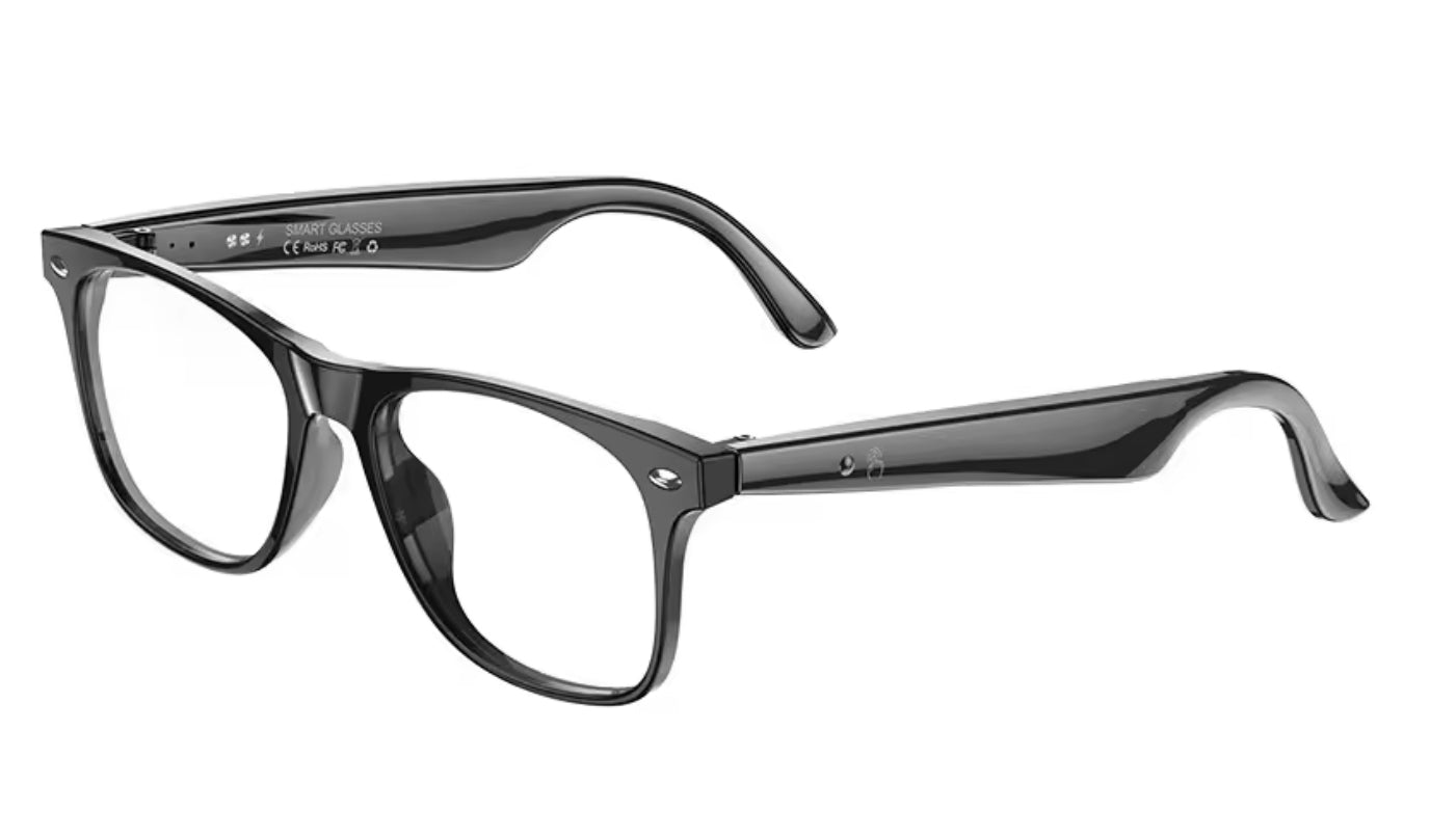 Translator glasses