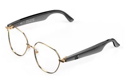 Translator glasses